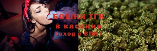 Альфа ПВП Новозыбков