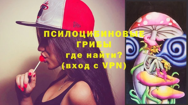 Альфа ПВП Новозыбков