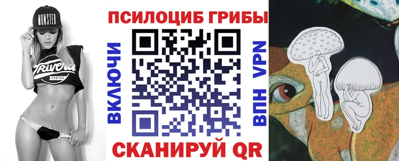 omg ссылки  Оса  Псилоцибиновые грибы Cubensis 
